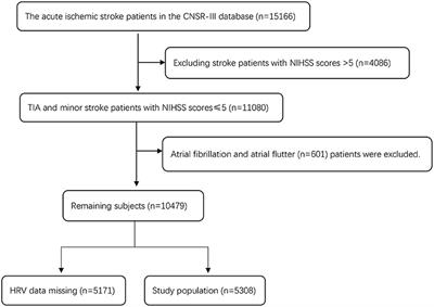 The Association Between Heart Rate Variability and 90-Day Prognosis in Patients With Transient Ischemic Attack and Minor Stroke